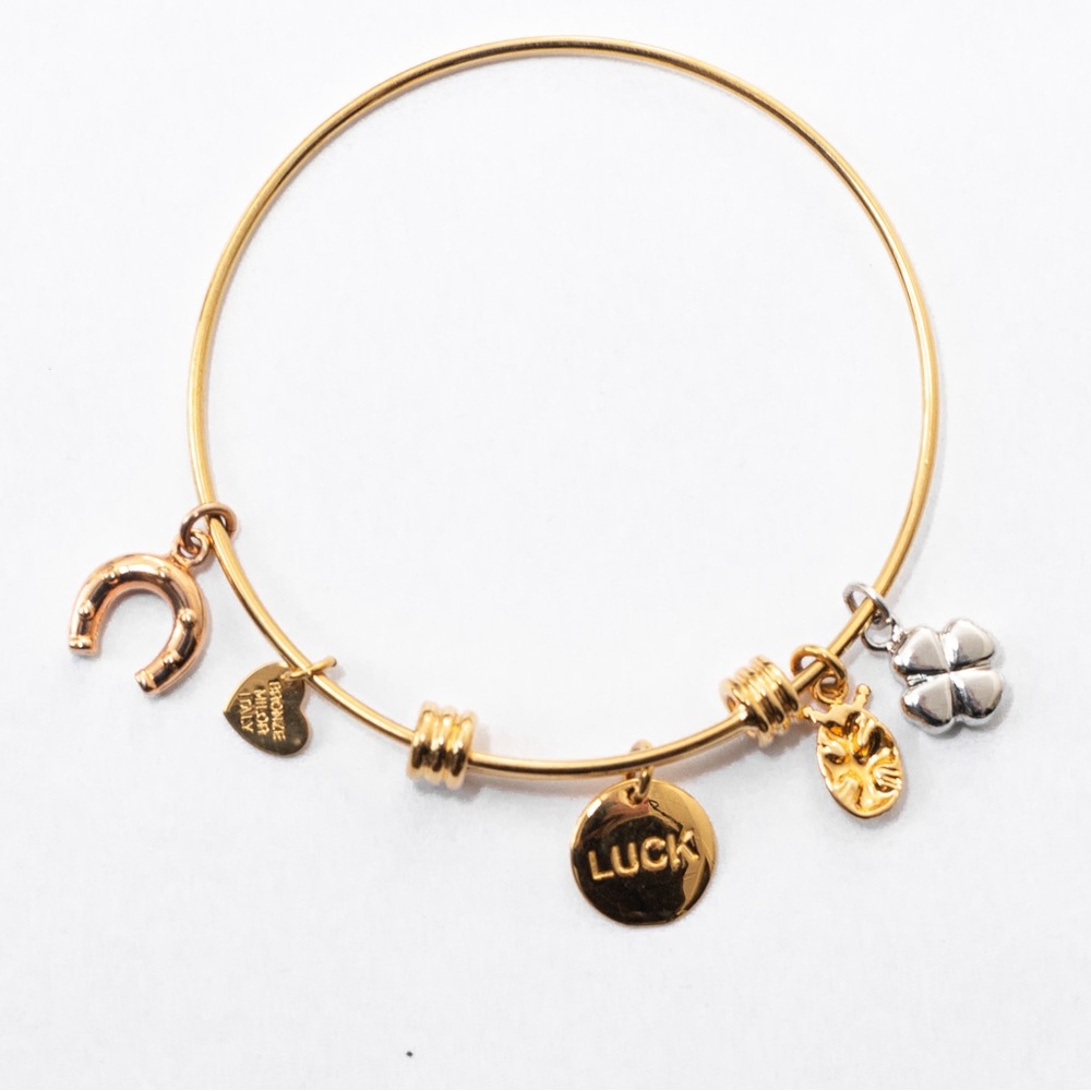 Expandable charm bangle bracelet 4 charms with luck theme by Bronzo Italia